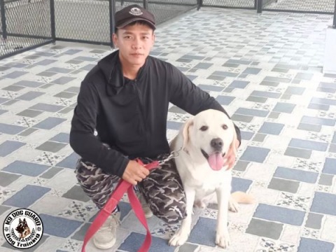 ศูนย์ฝึกสุนัขเสริมสร้างสุขภาพ พัฒนาความสามารถ